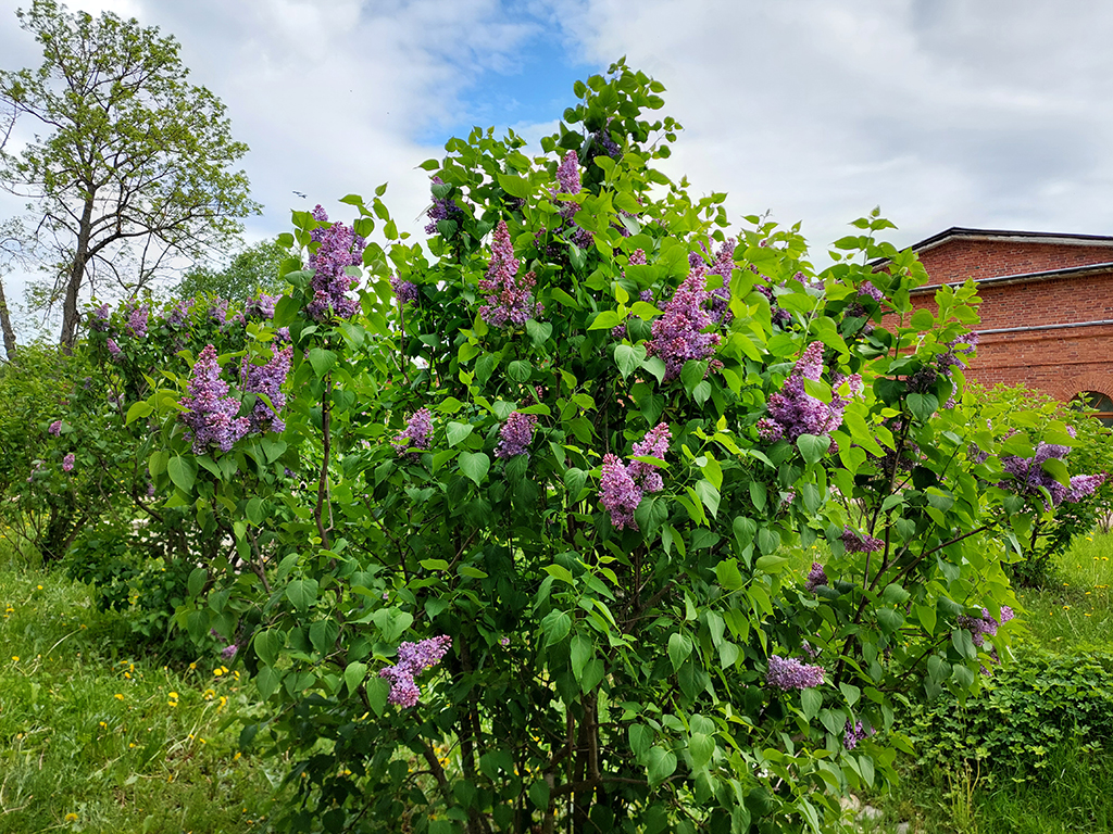 20250601_120743-KOPIY.jpg