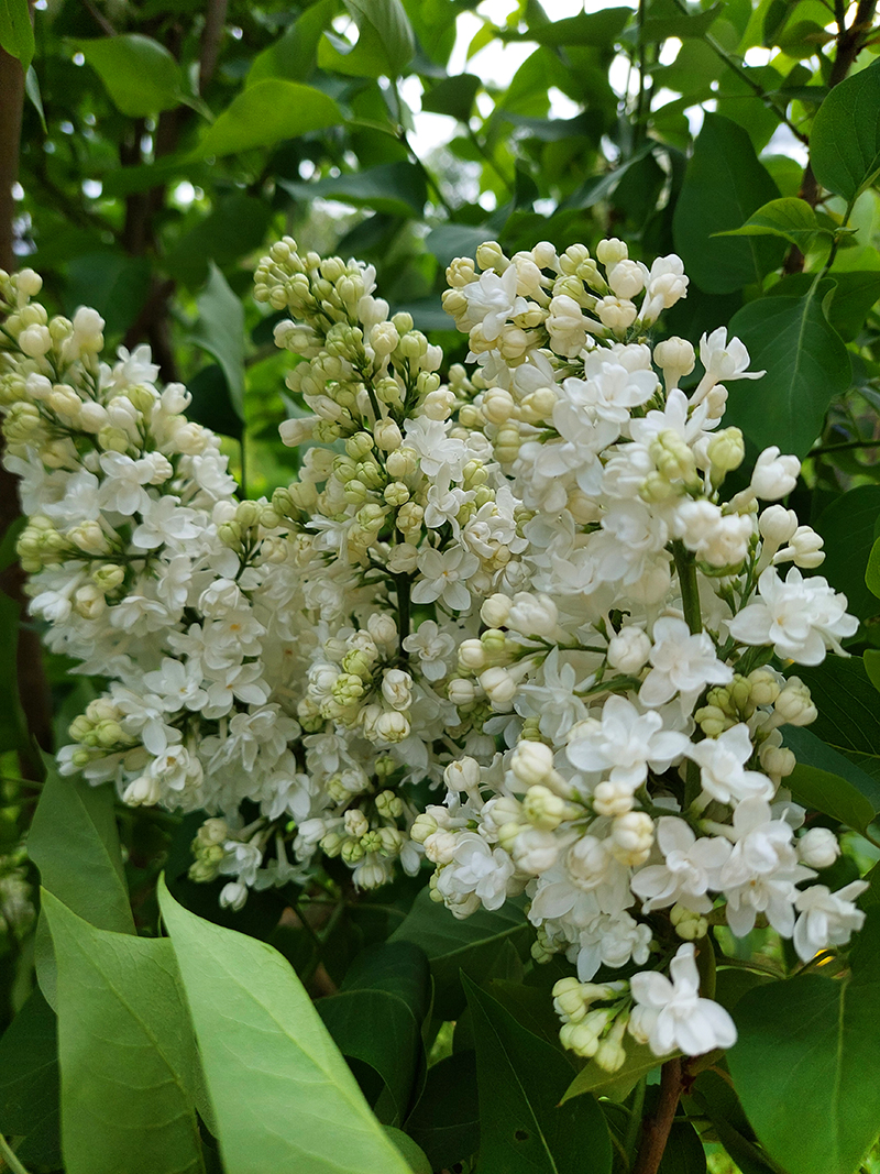 20250601_121004-KOPIY.jpg