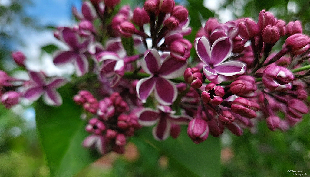 20250601_121617-KOPIY.jpg