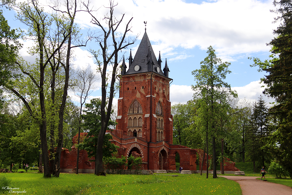 IMG_7786-KOPIY.jpg