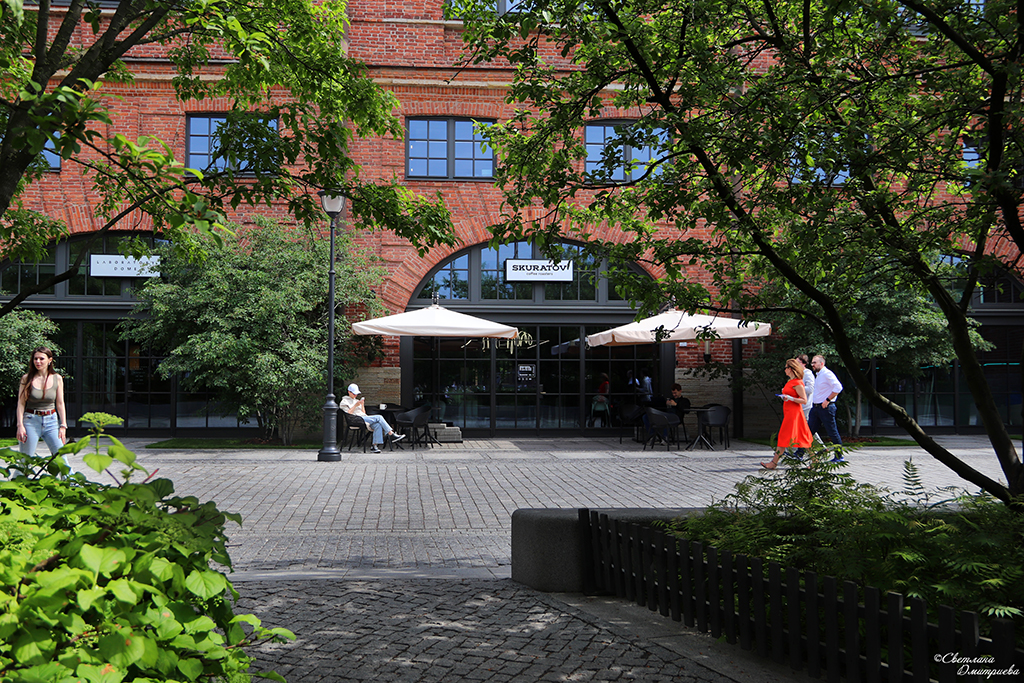 IMG_7888-KOPIY.jpg
