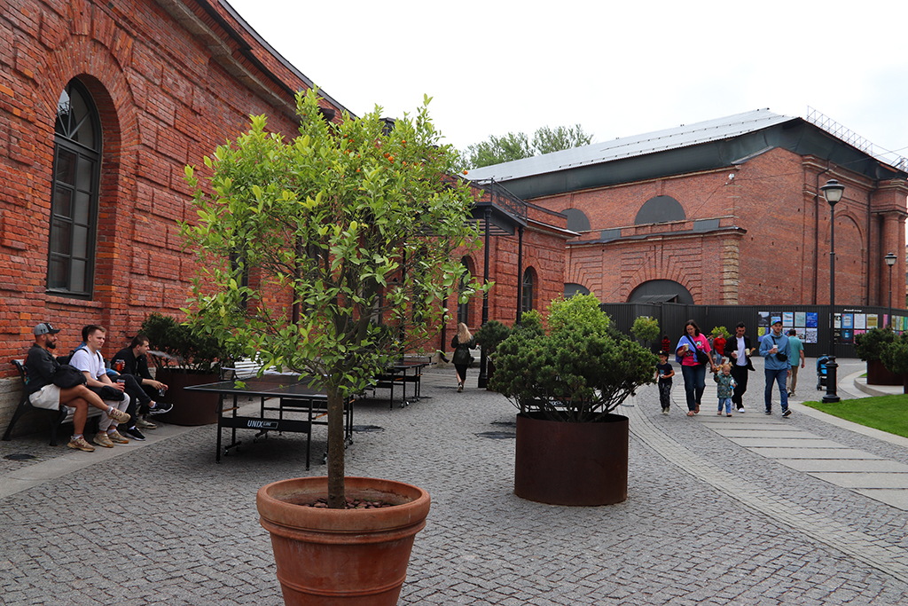 IMG_7916-KOPIY.jpg