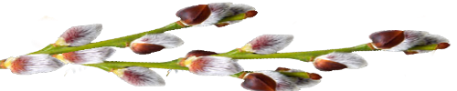 1VN1.png