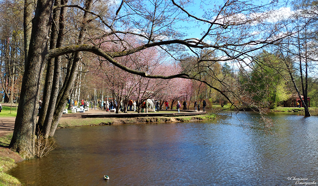 20250427_132430-KOPIY.jpg