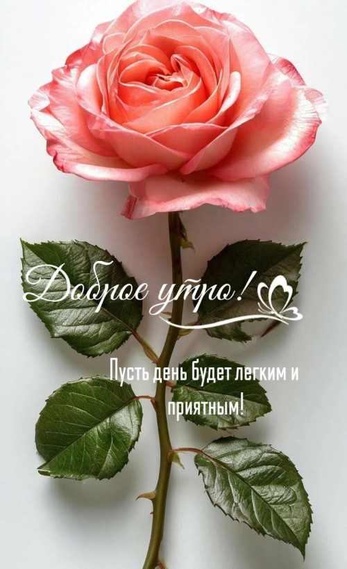 1c9807103c134295d5a5c69982de9dd2.jpg