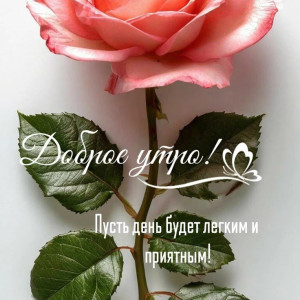 1c9807103c134295d5a5c69982de9dd2