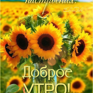 27d6bfd0c4c7fbb02f6642e3719a7401