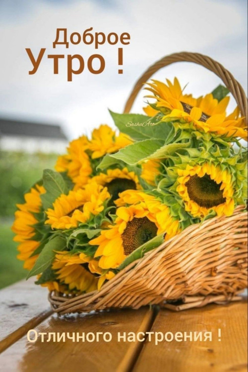 60f0dc9d67a91300df553fc713a953b8.jpg