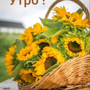 60f0dc9d67a91300df553fc713a953b8