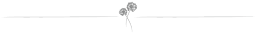 JLP2013---POST-DIVIDER.png