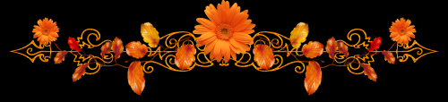 d376dcc6a4b46a2704729ec72b50bc39-1.png
