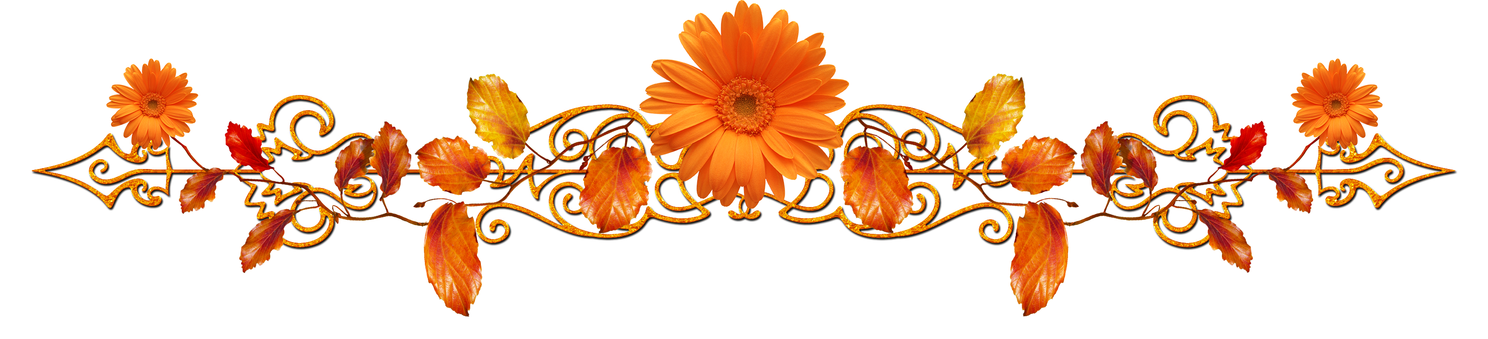 d376dcc6a4b46a2704729ec72b50bc39-1.png