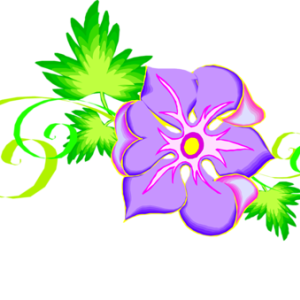 herbaceous_border_061