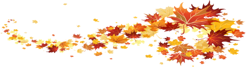 image1.png