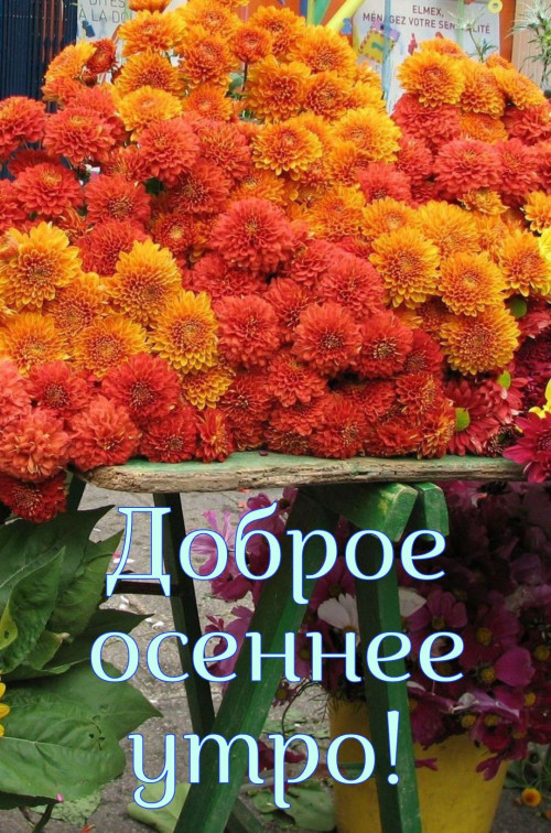 74b35e7aa75ffdd563203d91a0f505f8.jpg