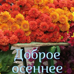 74b35e7aa75ffdd563203d91a0f505f8