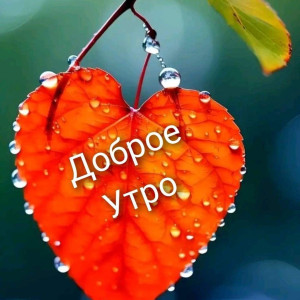 7b7ec94c2d721da6d7af79ea0f1906d8
