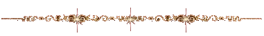 8100579.gif