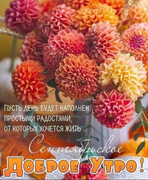 8507e8d134152c75947b0837ce443e9c.jpg
