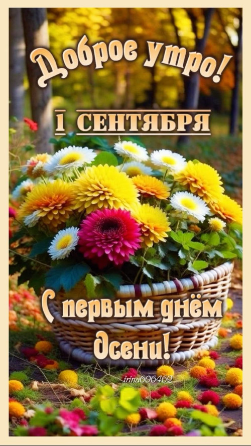 c721e0f08dcfdb91069d9206d1c1e0f6.jpg
