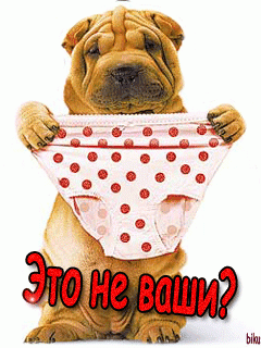 357677292.gif