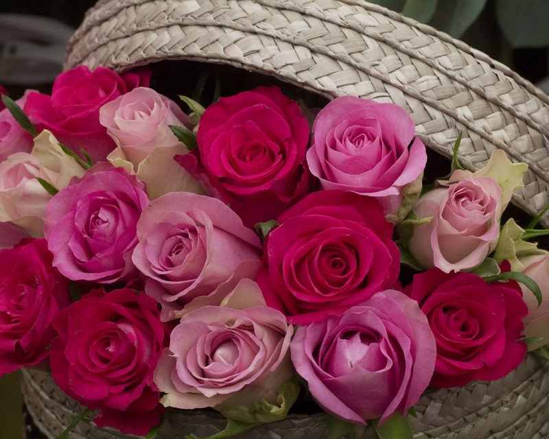 Pink-and-red-roses-basket_1280x1024.jpg