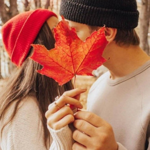 0209970e401d02db9a7bf55444703a84