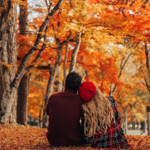 2e7cd3effb9d957ab34123fb55c7770c