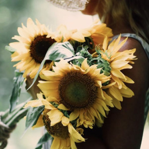 9578ed5545411a0d179f1b1408671645