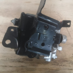 GLAVN-TORM-47070-52020-NHP10-2