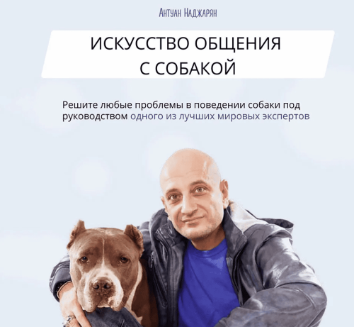 Screen-Shot-30.08.2025-at-16.50.png
