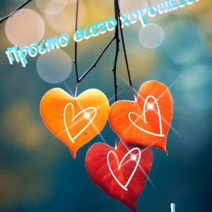 f1488f4e082602aecb913576b5a44d43