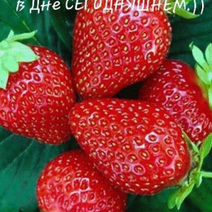 f1eab3cd60c1250a111b687a7f29d719