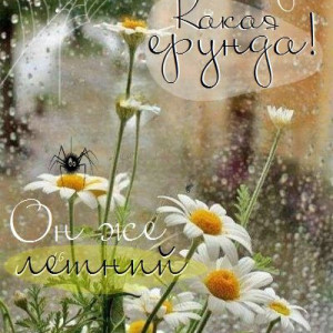 fec13a74d4db88a4bc233d73201d3669