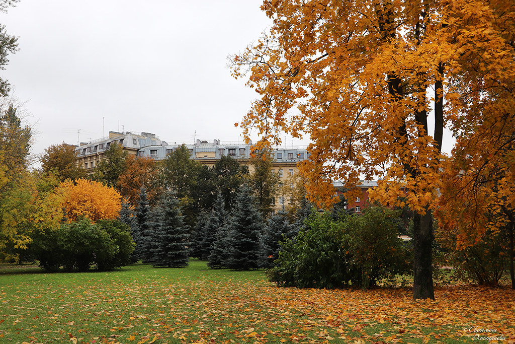 IMG_6844-KOPIY.jpg