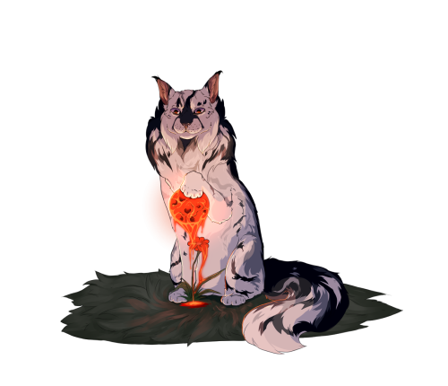 KLON-DLY-BS1f3e3f104601b4ac.png