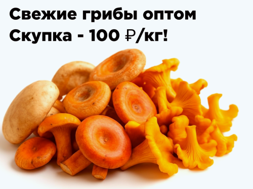 1123ecb8045178a46.png