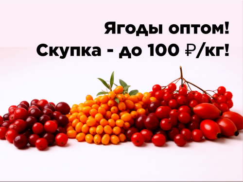 14357c3defb1cb92e.png