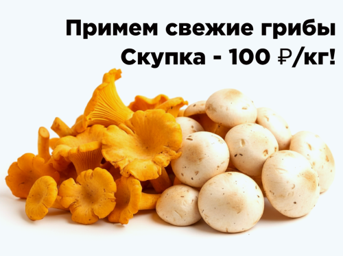 1447332edbe666a04.png