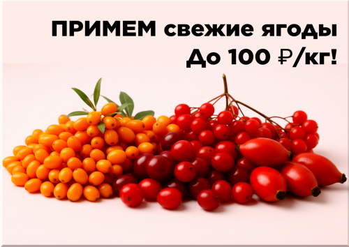 14b15c49b639250a5.png