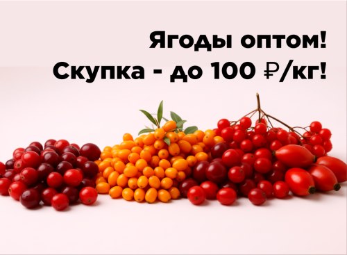 150049f1ccd81ebb5.png