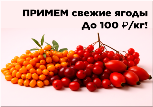 151b362906425f0dd.png