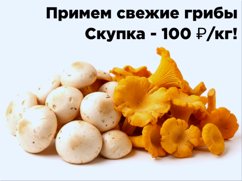 159fd5df91ddf8227.png