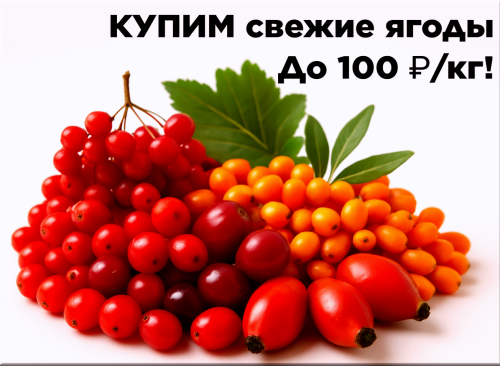 1614750c120bbf614.png