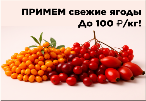 165ee956a1df2151e.png