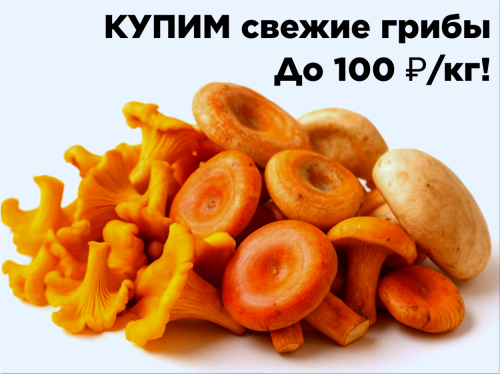 166c82ad29534b092.png