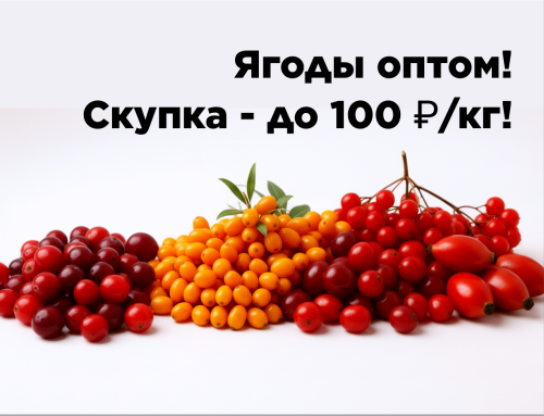 16b1b8b730c3805c0.png