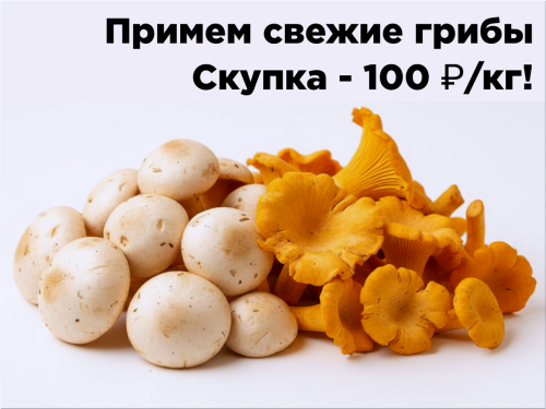 176a9b0d3097be20d.png