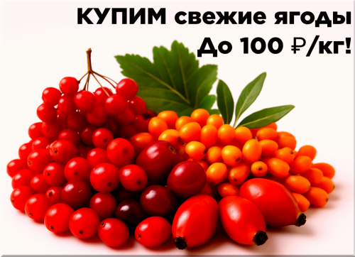 1811bc22931dfe63b.png