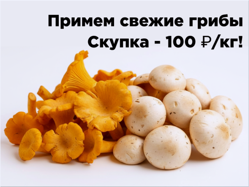 183b74fec8225e2bb.png